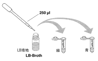 テキスト遺伝子組み換え